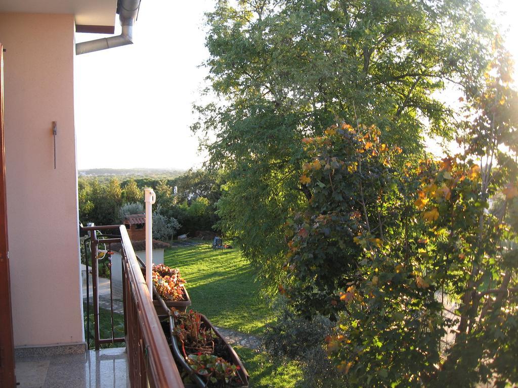 Adelita * Poreč