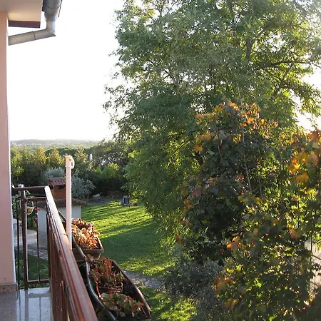 Apartments Adelita Porec Exterior photo