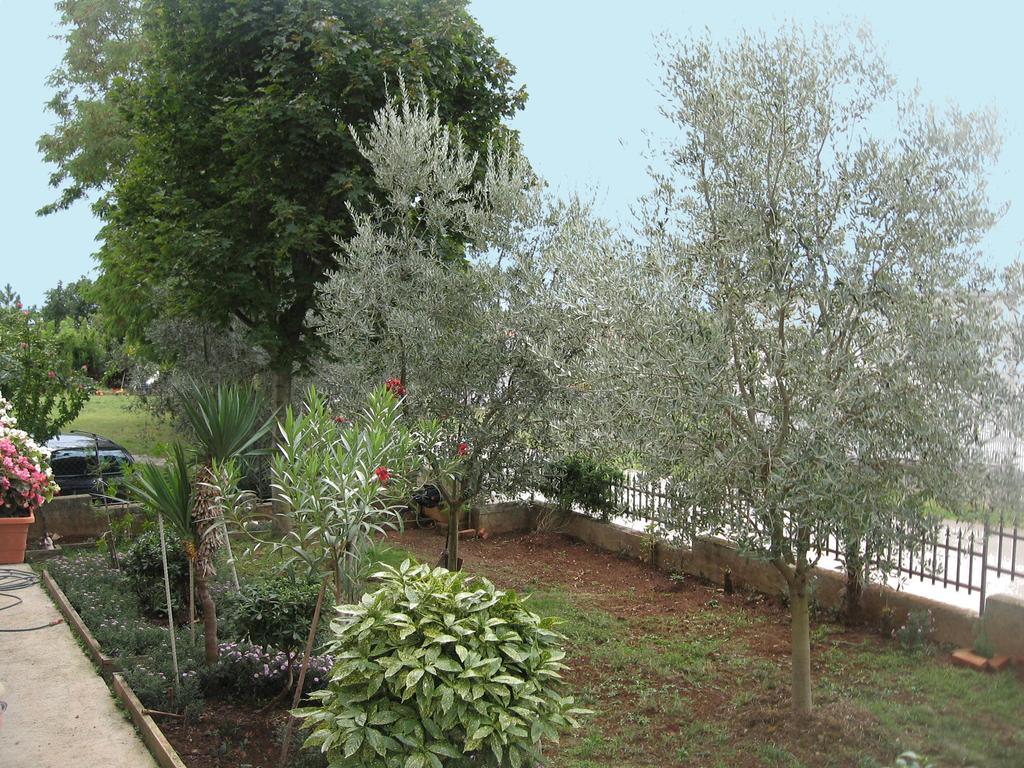Apartament Adelita Poreč