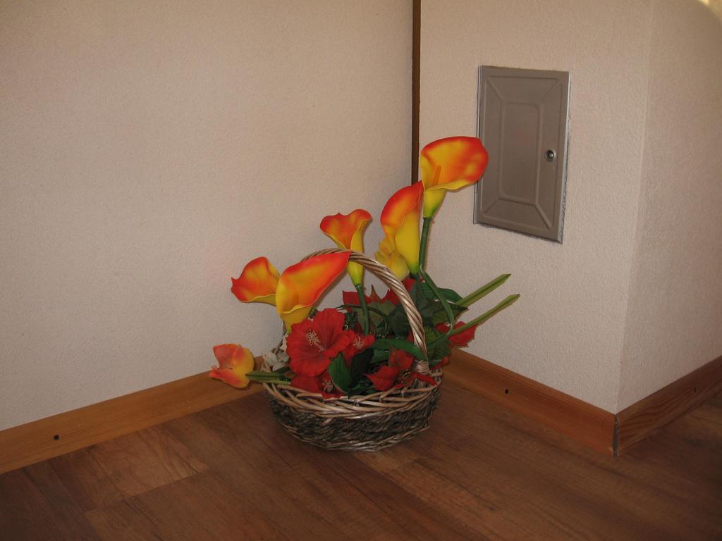 Adelita Apartment