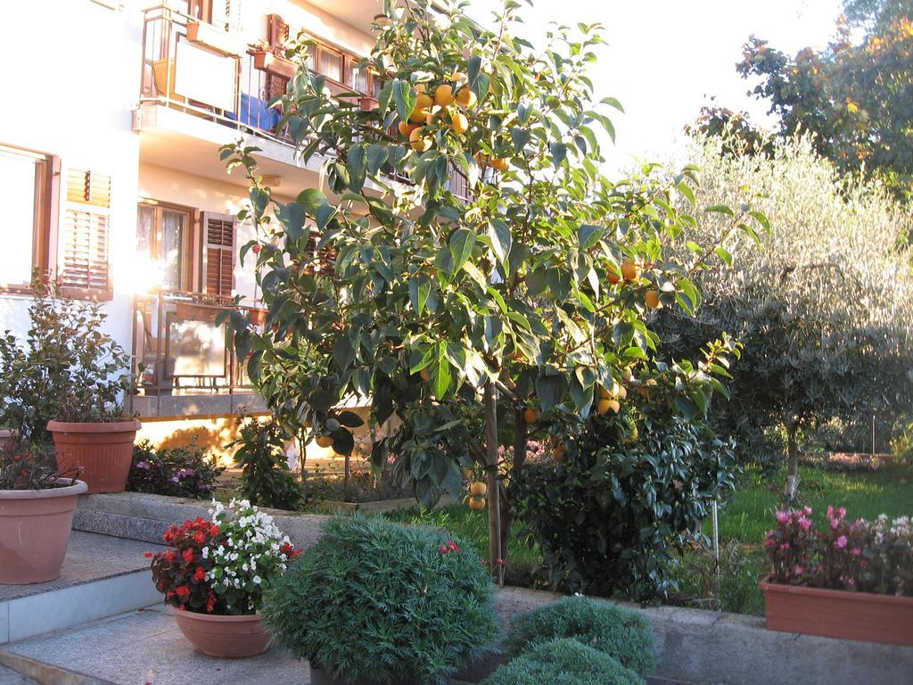 Adelita Poreč