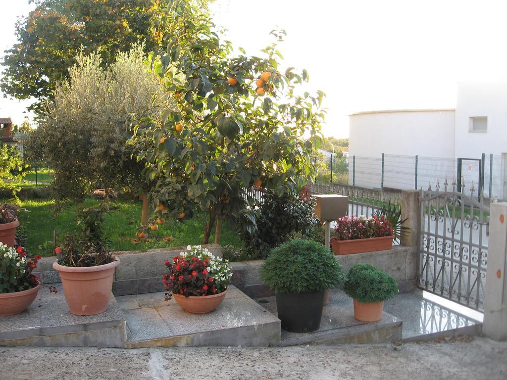 Apartament Adelita *